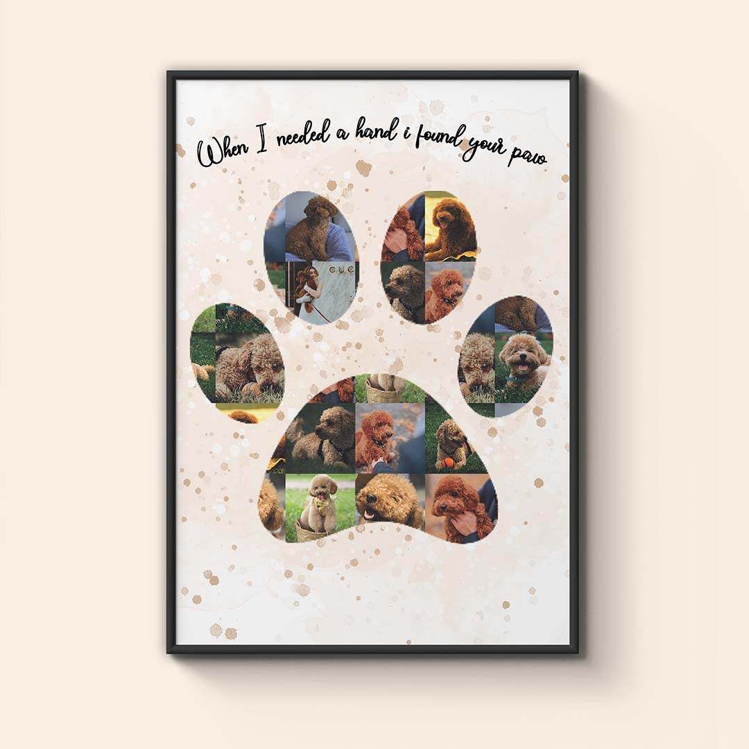 Колаж "Кучешка Лапа"