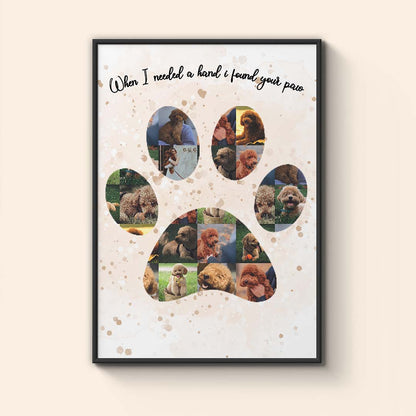 Колаж "Кучешка Лапа"