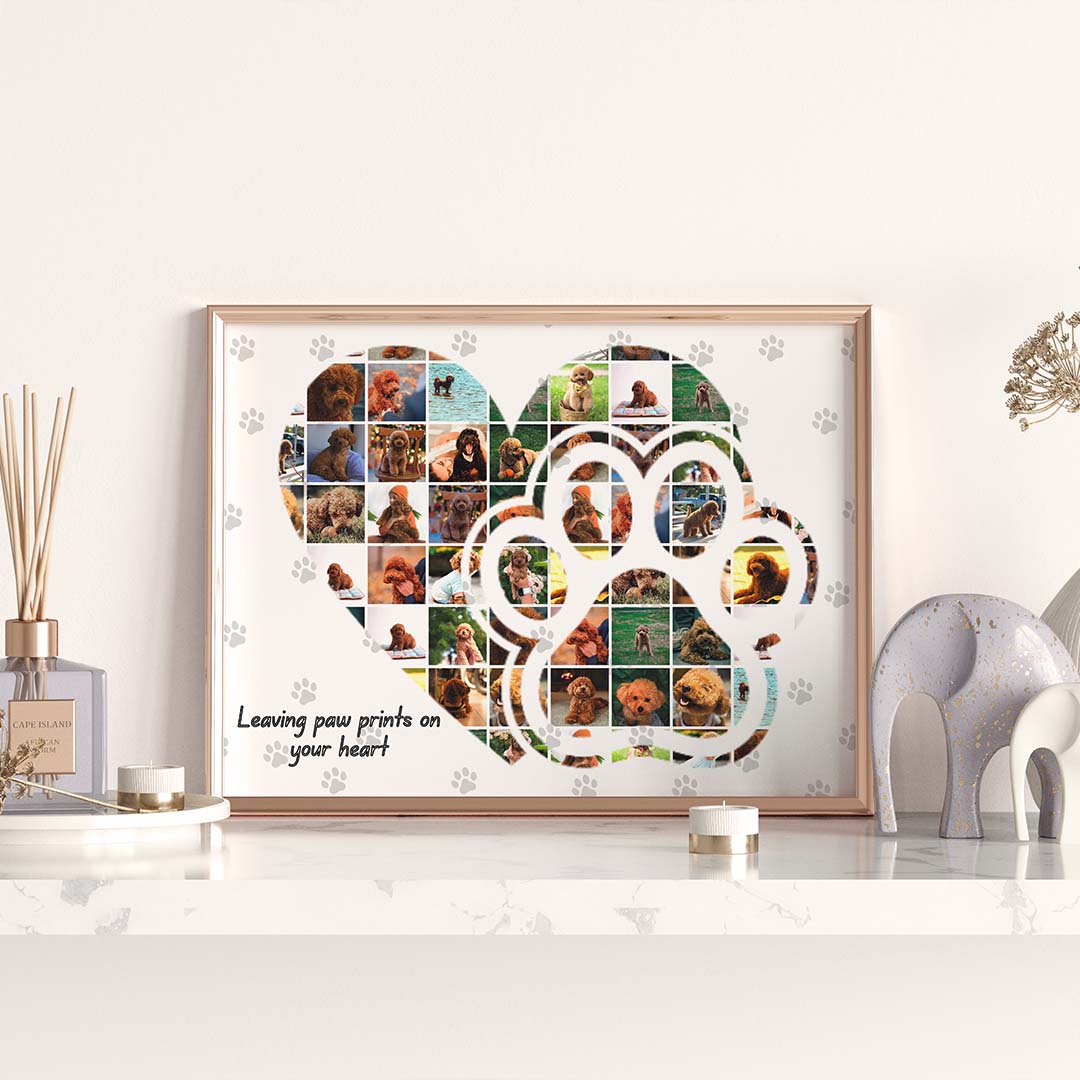 Колаж "Моят Домашен Любимец"