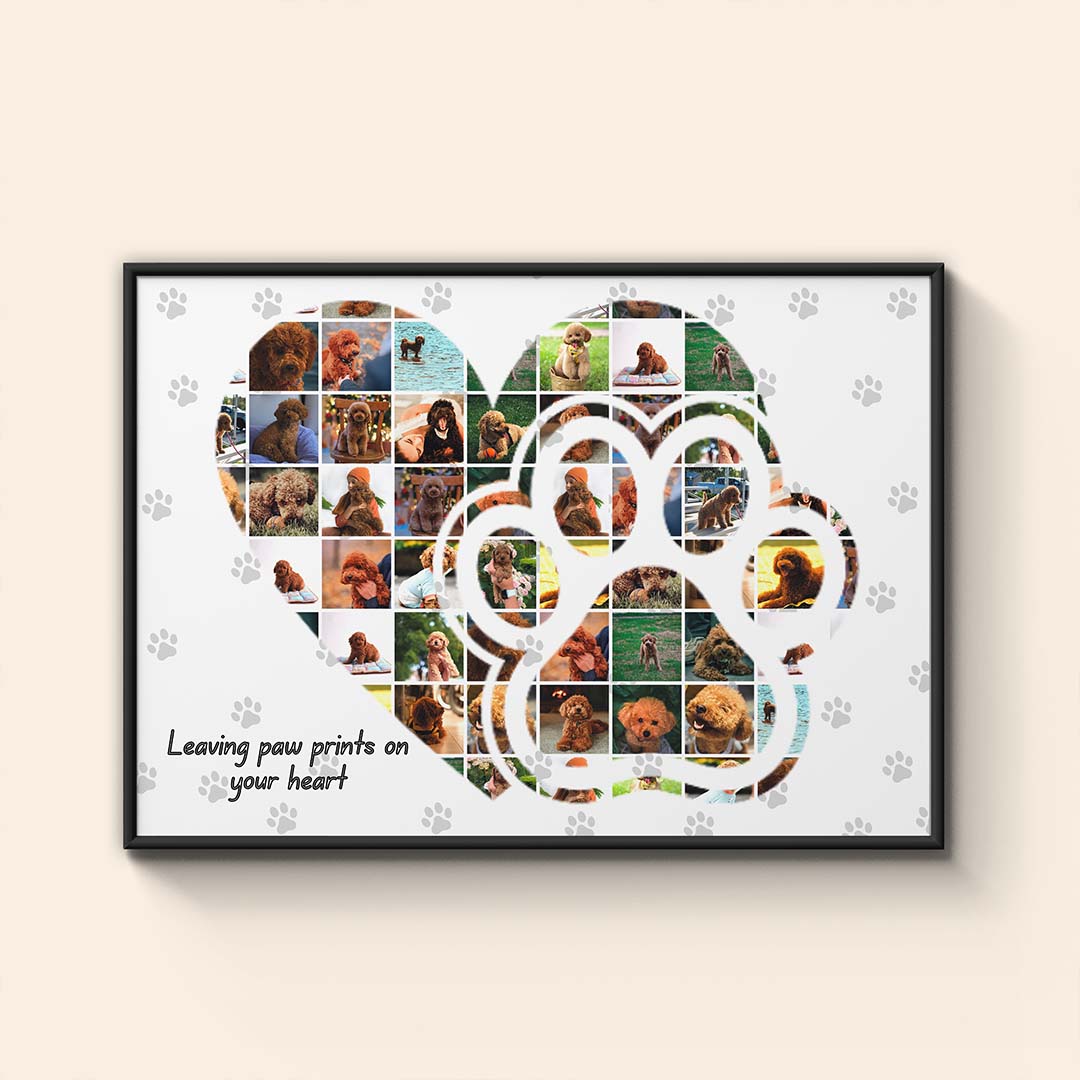 Колаж "Моят Домашен Любимец"