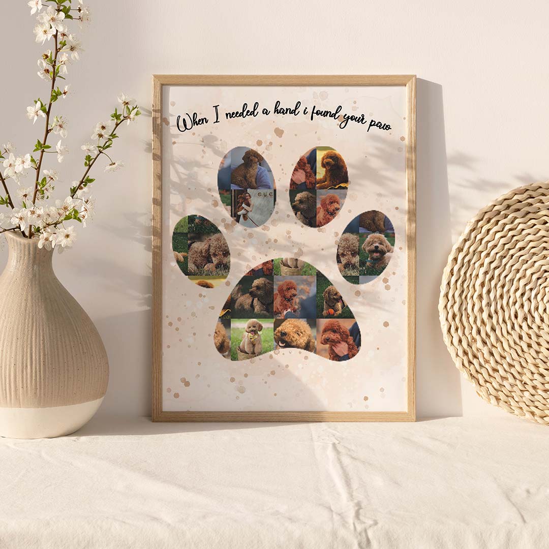 Колаж "Кучешка Лапа"