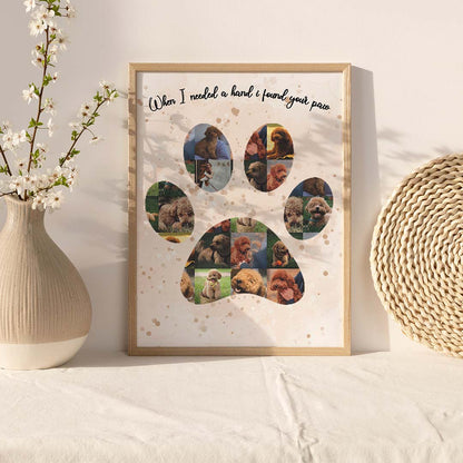 Колаж "Кучешка Лапа"